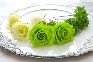 饦ɥ֡åץΥإåɥѡ