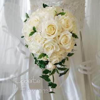 <img class='new_mark_img1' src='https://img.shop-pro.jp/img/new/icons15.gif' style='border:none;display:inline;margin:0px;padding:0px;width:auto;' />ץꥶ֥ɥեƥɥåץ֡ʥХ˥ˡ֡ȥ˥դ
