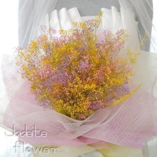 <img class='new_mark_img1' src='https://img.shop-pro.jp/img/new/icons15.gif' style='border:none;display:inline;margin:0px;padding:0px;width:auto;' />¨ȯǽʥ󥸡ۥץꥶ֥ɤβ«