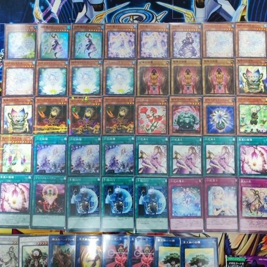 遊戯王　六花聖天樹デッキ　六花サンアバロンデッキ　構築済みデッキ　スリーブ付き - ヤマトレ！　遊戯王販売