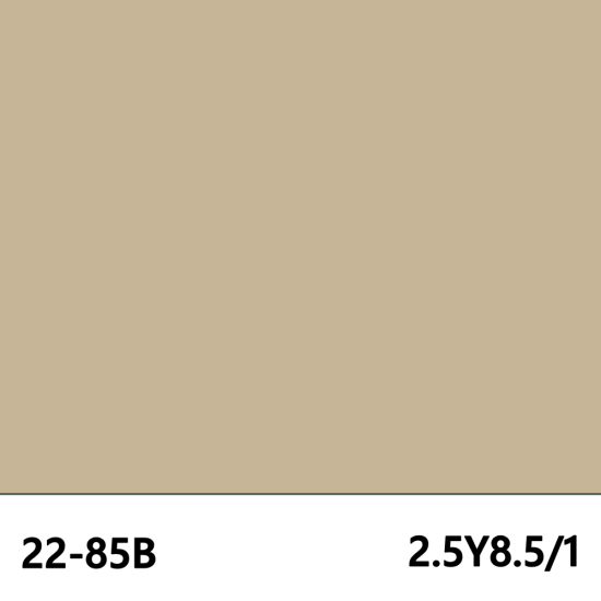 348 ベージュ 艶あり 2.5Y8.5/1 22-85B 348 - 粉体塗料市場│粉体塗料 