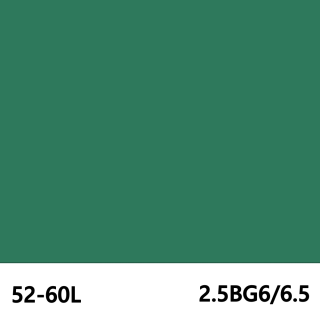 636 グリーン　艶あり　2.5BG6/6.5　52-60L　636　