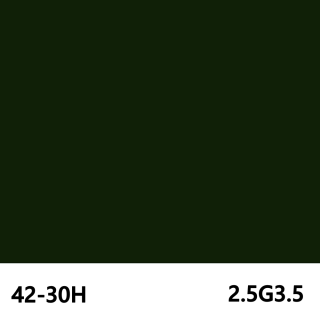 505グリーン　艶あり　2.5G3/5　42-30H　505　