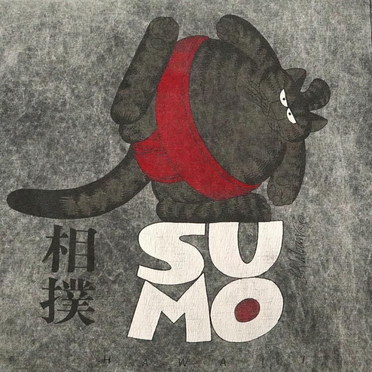 未使用 タグ付 90's アメリカ製 クリバンキャット ハワイ 猫 ゴルフ 春夏 2025年最新】クリバンキャット ハワイの人気アイテム - メルカリ