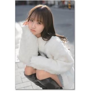 2026ǯ   ɳݤ 2025ǯ1122ȯξʲ