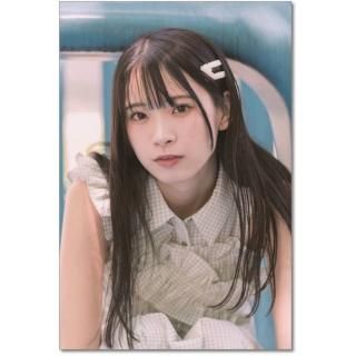 2026ǯ  ȱꤪ ɳݤ 2025ǯ1115ȯξʲ