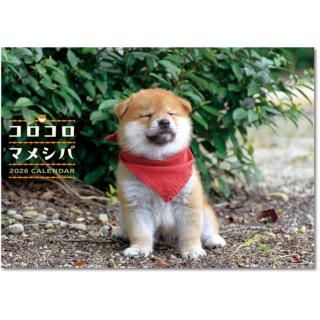 2026ǯ ưʪ ޥ᥷ ɳݤ 2025ǯ920ȯξʲ