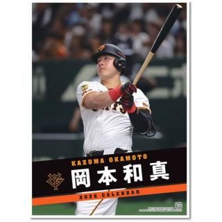 2026ǯ ݡ ¿䥸㥤ġ ɳݤ 2025ǯ111ȯξʲ