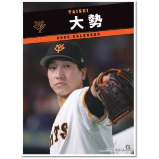 2026ǯ ݡ 䥸㥤ġ ɳݤ 2025ǯ111ȯξʲ