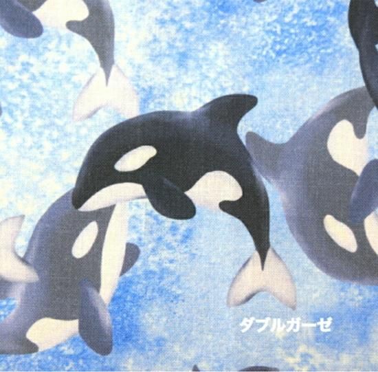 海の王者　シャチ　ガーゼハンカチ 168706145.jpg?cmsp_timestamp=
