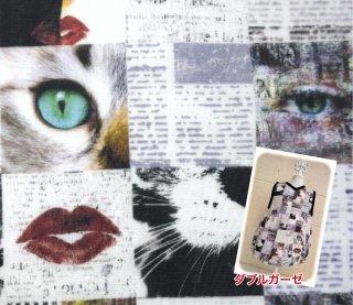 tsukushi֥֥륬סEyes Mouth Cats  åȥ100    ޥ ѥ  ǭ ͥ ͤ  ˥塼ڡѡ ǥץ ٥ӡ 