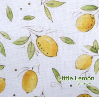 tsukushi֥󥰡סLittle Lemonץ åȥ100    ޥ ѥ   ǥץ ȥ 