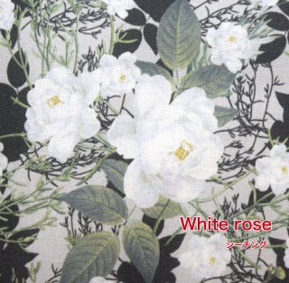 tsukushi֥󥰡סWhite roseץۥ磻ȥ åȥ100    ޥ ѥ   ǥץ Х   