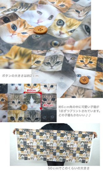 写真のような鮮やかさ「ブロード」「CAT'ｓ」 コットン100％ 生地 布