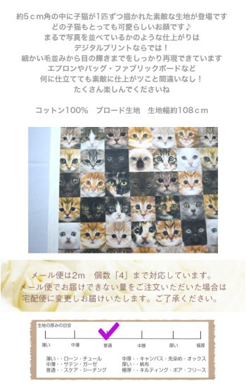 写真のような鮮やかさ「ブロード」「CAT'ｓ」 コットン100％ 生地 布