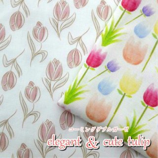 50cmñ̡ۥߥ󥰥֥륬**/elegantcute/tulip/֥륬/쥬ȡ塼/塼å/ѥƥ/åȥ100////٥ӡ//