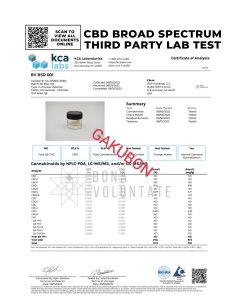 CBD CBG CBN CBDVワックス 100ｇ - gakubon