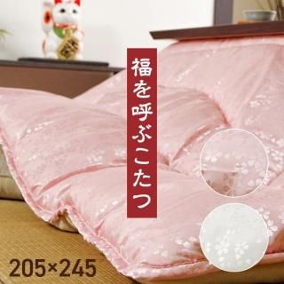   Ĺ  ݤñ 鴶  㥬 ԥ С 俧 205245cm