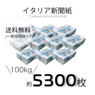 ꥢʹ 100kg5,300