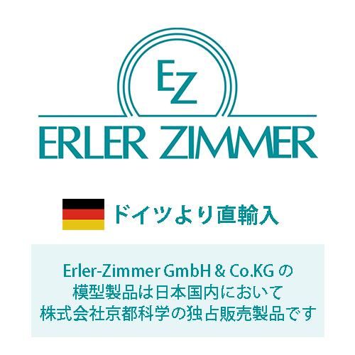 Betohunter _jp2024　熊の胆嚢③ Betohunter _jp2024 熊の胆嚢③ 熊の胆