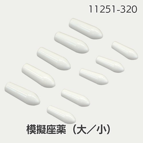 最短当日出荷〉介護実習モデル “ケイコ” 消耗品 - 京都科学オンラインショップ