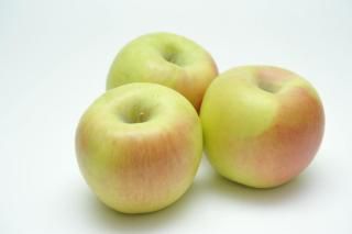 111缡ȯ۹(̾)4kgο̸