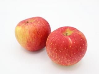 ڤɾˤĤɲüճϡۡ1027缡ȯ۹(ʥΥ)4kgο̸