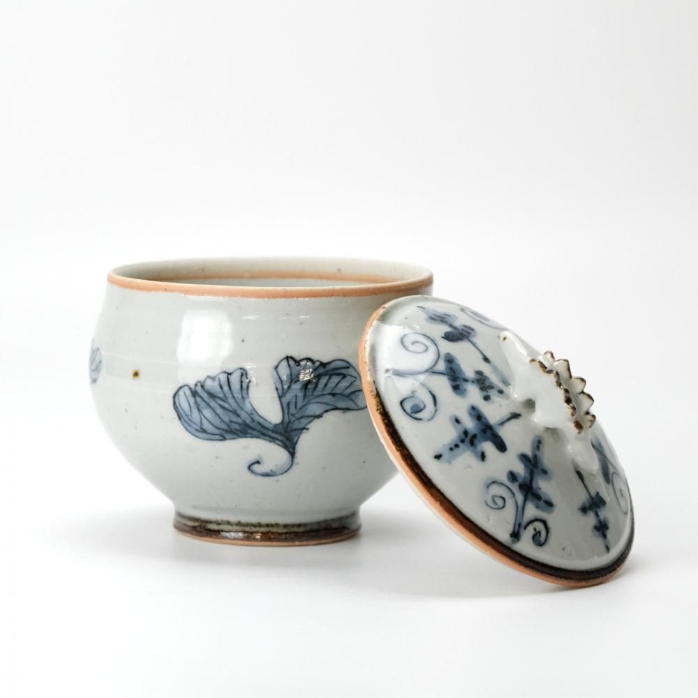 studio wani(Ĺ)DINOSAUR ʪ ƥ륹ξʲ