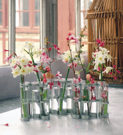 Tse&Tse associees APRIL VASE SMALL ツェツェアソシエ 四月の花器　Sサイズ Φ2ｘw55xh10cm -  maison-de-lalan
