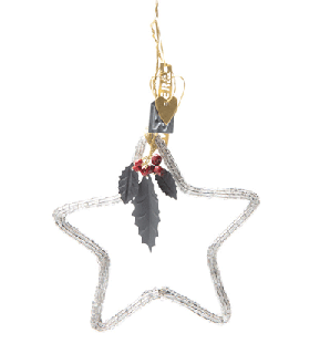 WALTHER&CO.륵ʥȡHOLY BEAD STAR12
