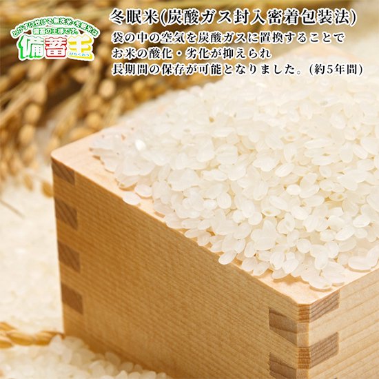 9,089円備蓄王　米20kg 5キロ4箱 無洗米 長期保存米　備蓄 保存食  備蓄米非常食