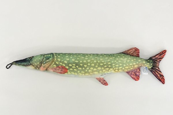 Salmon 65
