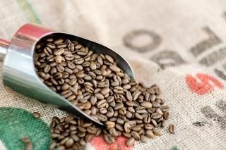 プレミアムハニー生豆コーヒー　【5Kg】送料無料 オーガニックコーヒー フェアトレードコーヒー 生豆 卸・通販の