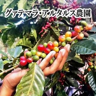 <img class='new_mark_img1' src='https://img.shop-pro.jp/img/new/icons5.gif' style='border:none;display:inline;margin:0px;padding:0px;width:auto;' />【限定品】グァテマラ・ウエウエテナンゴ・アルタルス農園・Qグレード200g