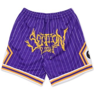 Section8 Pinstripe Basketball Shorts
