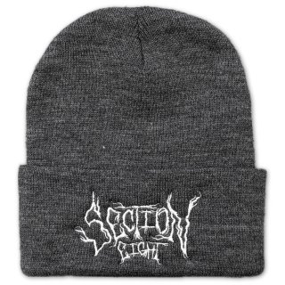 Section8 Charcoal Beanie