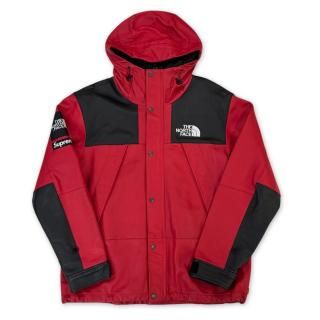 SUPREME X THE NORTH FACE LEATHER MOUNTAIN PARKA