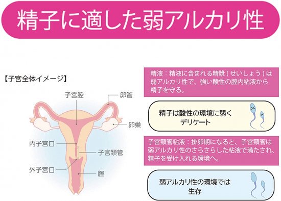 ポジティブサポート(75ml)【妊活対応ジェル】