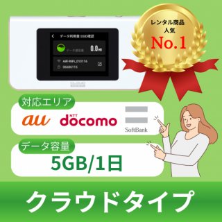 <img class='new_mark_img1' src='https://img.shop-pro.jp/img/new/icons29.gif' style='border:none;display:inline;margin:0px;padding:0px;width:auto;' />ڹѡۥ饦ɥסڷ100GB/5GB