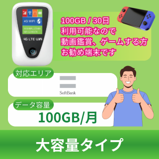 <img class='new_mark_img1' src='https://img.shop-pro.jp/img/new/icons29.gif' style='border:none;display:inline;margin:0px;padding:0px;width:auto;' />ڹѡ̥סڷ/100GB 