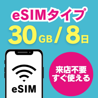 eSIM 830GBץ