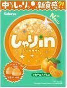 Х䡡ߤòʡָ꾦