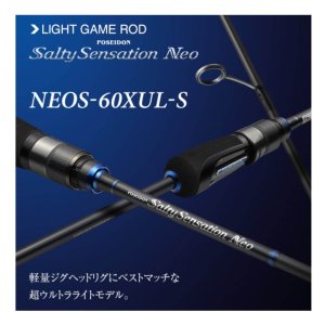 エバーグリーン ソルティセンセーション ネオ NEOS-60XUL-S