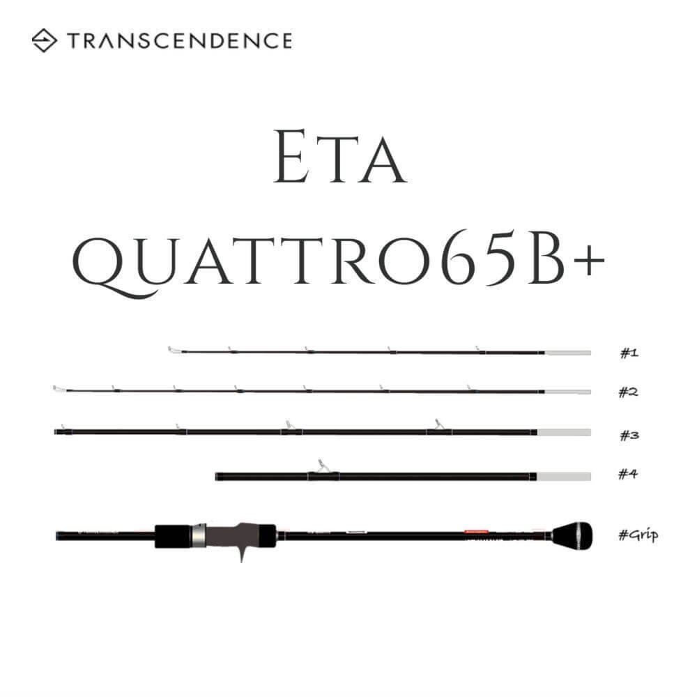 TRANSCENDENCE トランスセンデンス Eta quattro65B+ イータクワトロ65B+