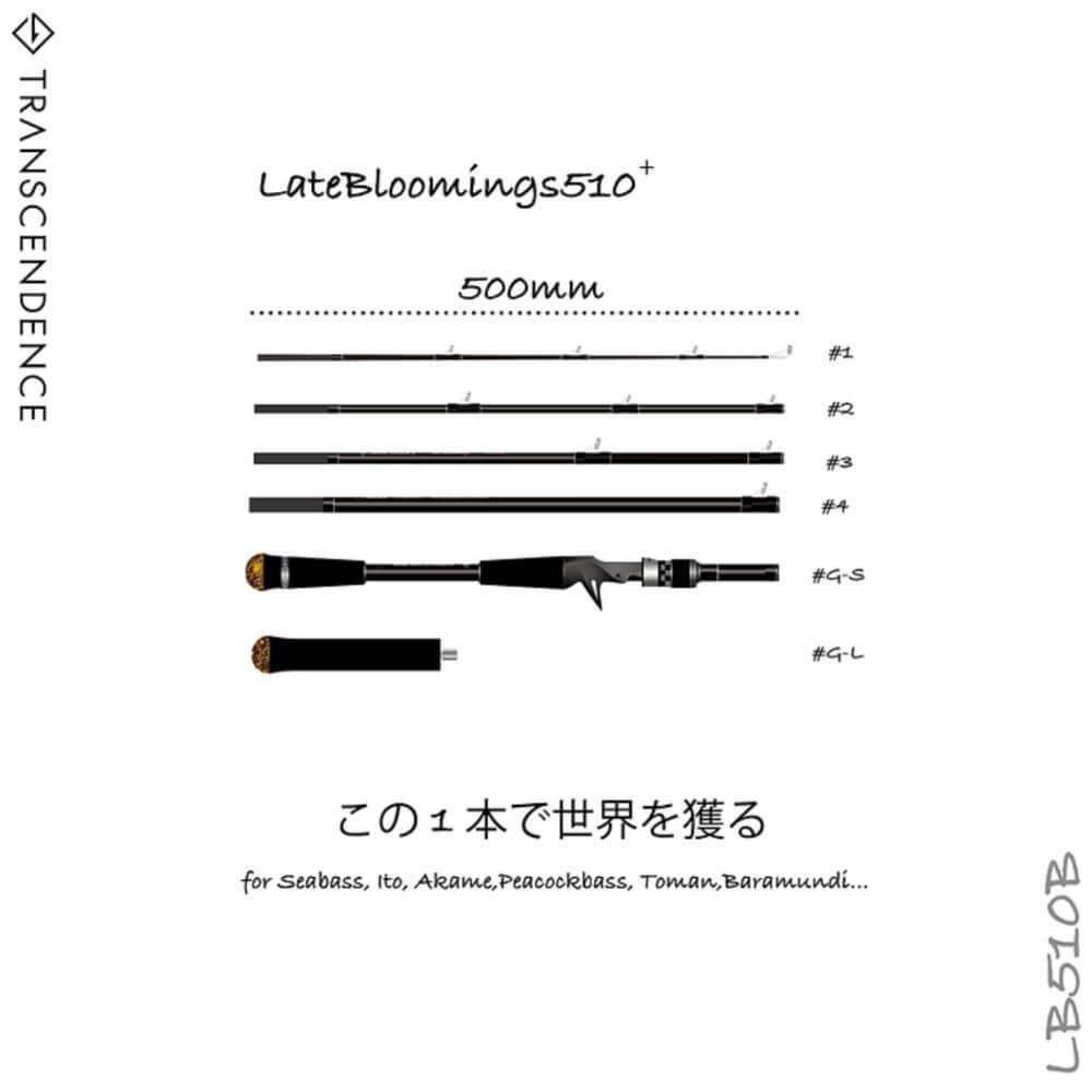 ロッド TRANSCENDENCE Laulau8.3GT-S Rev2.0 Laulau8.3GTS Rev3.0 /ラウラウスピニング | TRANSCENDENCE