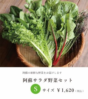 阿蘇蔵農園の野菜セット Sサイズ