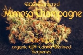 liquid - Chill Spice CBD