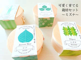 栽培セット｜Japanese GreenStyle WAPPA 和っ葉栽培セット 【日本製】／ミズナ