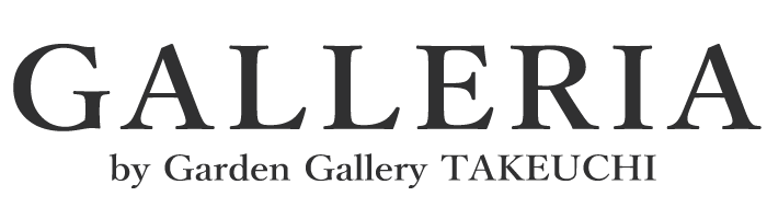 �����ˤޤĤ��Ῡ�����Υ��쥯�ȥ���å� "GALLERIA" Online Store