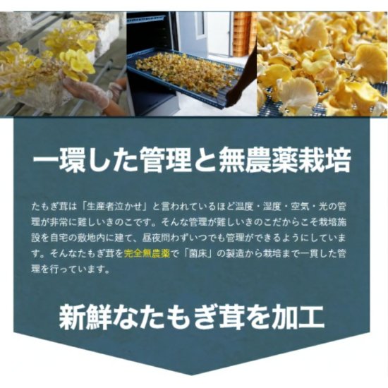 【売れ筋】 花咲たもぎ茸サプリ 【極】 - たもぎ茸を使った化粧品や食品の販売　アスリーのオンラインショップ